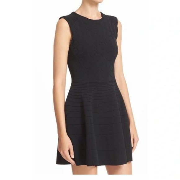 Ted Baker London Dresses & Skirts - Ted Baker London Frinca Dress Black Fit & Flare Skater Knit Mini Size 4 US 10